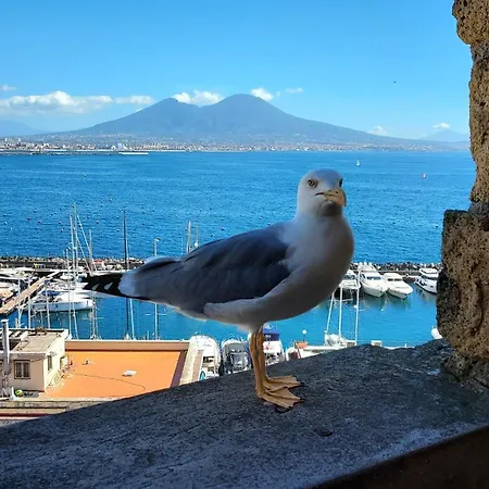 Domus Διαμέρισμα